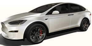 EF2P-11 Forged Wheel Tesla Model X